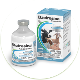 Bactrosina 50ml - Bayer