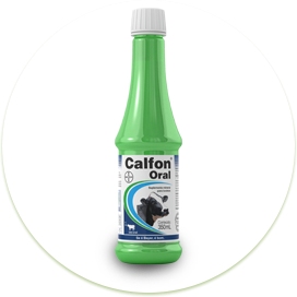 Calfon Oral 350 ml - Bayer